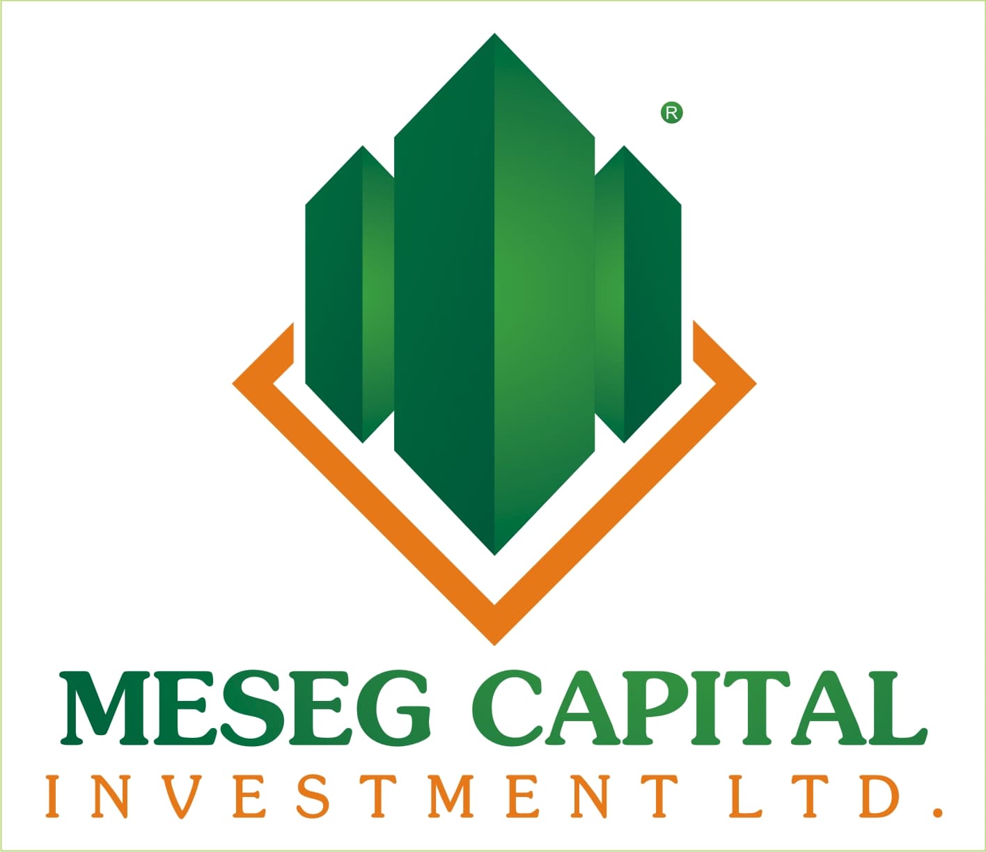 Meseg Capital Investment Ltd.